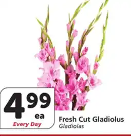 Albertsons Fresh Cut Gladiolus offer