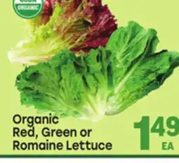 Tony’s Fresh Market Organic Red, Green or Romaine Lettuce offer