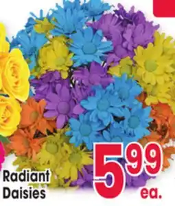 Jewel-Osco Radiant Daisies offer