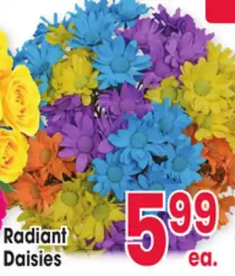 Jewel-Osco Radiant Daisies offer