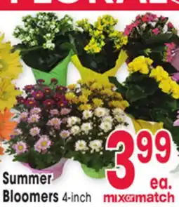 Jewel-Osco Summer Bloomers offer