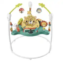Walmart Fisher Price Cute Leopard Jumperoo HND47 offer
