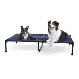 Walmart K&H Pet Products Original Pet Cot Elevated Dog Bed Blue/Black Mesh X-Large 50 X 32 X 9 Inches offer