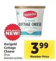 Safeway Darigold Cottage Cheese offer