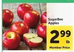 Safeway SugarBee Apples offer