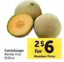 Safeway Cantaloupe offer