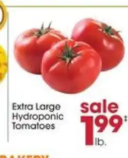Giant Eagle Extra Large Hydroponic Tomatoes offer