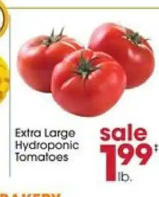 Giant Eagle Extra Large Hydroponic Tomatoes offer
