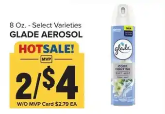 Food Lion Glade Aerosol offer