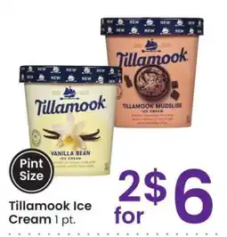 Albertsons Tillamook Ice Cream - 1 pt. Pint offer