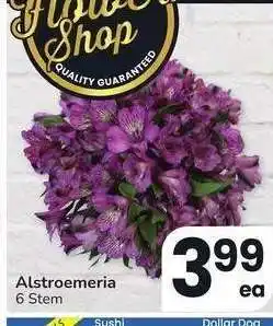 Albertsons Alstroemeria - 6 Stem offer