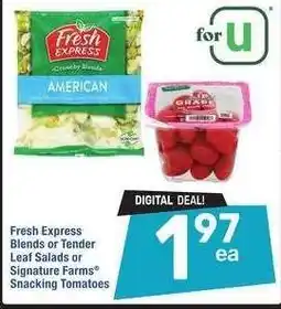 Albertsons Fresh Express Blends or Tender Leaf Salads or Signature Farms Snacking Tomatoes offer