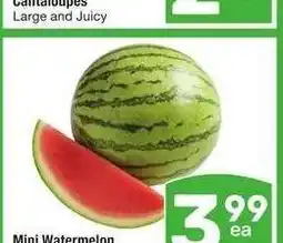 Albertsons Mini Watermelon - Seedless offer