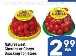 Albertsons Naturesweet Cherubs or Glorys Snacking Tomatoes - 10 oz offer