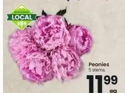 Albertsons Peonies - 5 stems offer