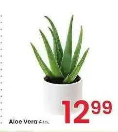 Albertsons Aloe Vera - 4 in offer