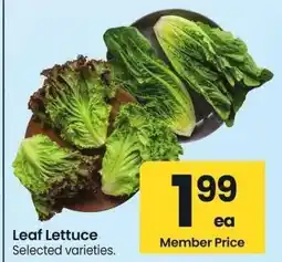 Albertsons Leaf Lettuce - Selected varieties offer