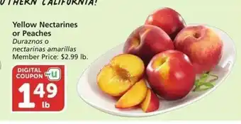 Albertsons Yellow Nectarines or Peaches - Member Price: $2.99 lb offer
