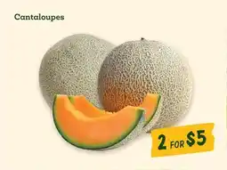 Sprouts Farmers Market Cantaloupes offer