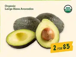 Sprouts Farmers Market Organic Large Hass Avocados offer