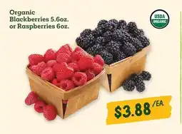 Sprouts Farmers Market Organic Blackberries 5.6oz. or Raspberries 6oz offer
