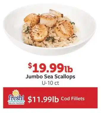 Fareway Jumbo Sea Scallops offer