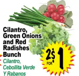 Superior Grocers Cilantro, Green Onions and Red Radishes Bunch offer