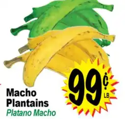 Superior Grocers Macho Plantains offer
