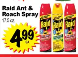 Superior Grocers Raid Ant & Roach Spray offer