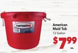 Vallarta Supermarkets American Maid Tub offer