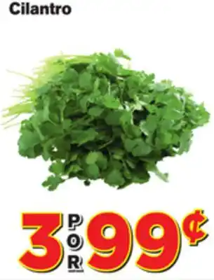 El Super Fresh Cilantro offer