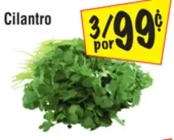 El Super Cilantro offer