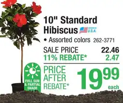 Menards 10 Standard Hibiscus offer