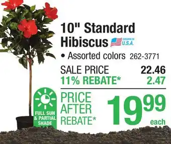 Menards 10 Standard Hibiscus offer