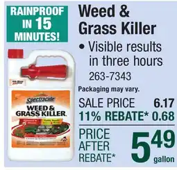 Menards Weed & Grass Killer offer
