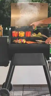 The Home Depot TRAEGER Pro Series 22 Wood Pellet Grill offer