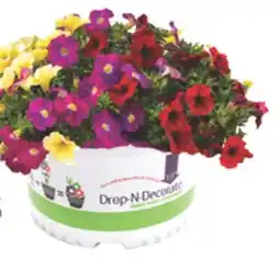 The Home Depot 10 Drop-N-Decorate Annuals offer
