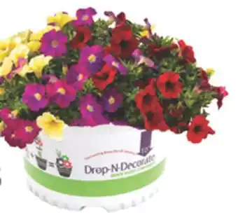 The Home Depot 10 Drop-N-Decorate Annuals offer