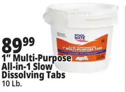 Ocean State Job Lot Pool Mate All-In-1 Slow-Dissolving 1 Multi-Purpose Tabs 10 lbs offer