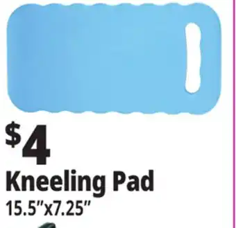Ocean State Job Lot Tiller & Rowe EVA Foam Kneeling Pad 15.5 offer