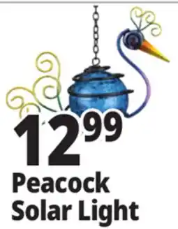 Ocean State Job Lot Peacock Solar Light offer