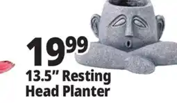 Ocean State Job Lot 13.5 Resting Head Planter offer