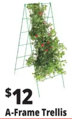 Ocean State Job Lot A-Frame Trellis Green 46 x 18 offer
