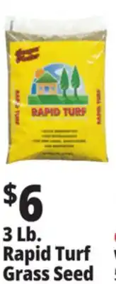 Ocean State Job Lot Rapid Turf Premium Grass Seed Mixture 3 lbs offer