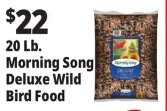 Ocean State Job Lot Morning Song Deluxe Wild Bird Food 20 lbs offer
