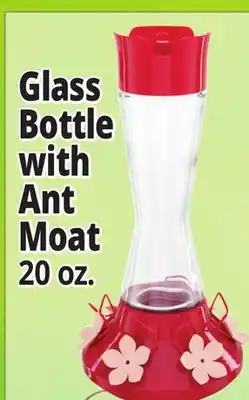 Ocean State Job Lot Glass Bottle with Ant Moat offer