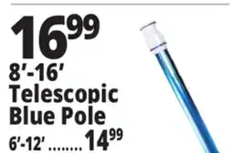 Ocean State Job Lot SwimWorks Telescopic Aluminum Pole offer