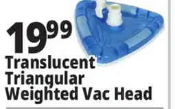 Ocean State Job Lot SwimWorks Deluxe Weighted Triangular Vacuum Head offer