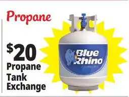 Ocean State Job Lot Blue Rhino Propane Tank Exchange offer