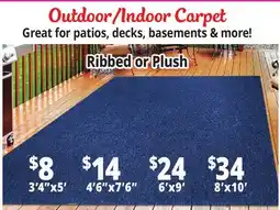 Ocean State Job Lot Outdoor/Indoor Carpet offer